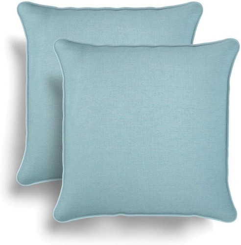 Duck egg blue - duck,